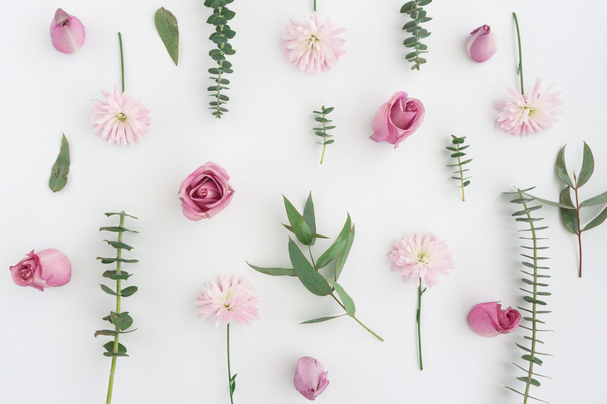 ¡La última tendencia en flores 2017!