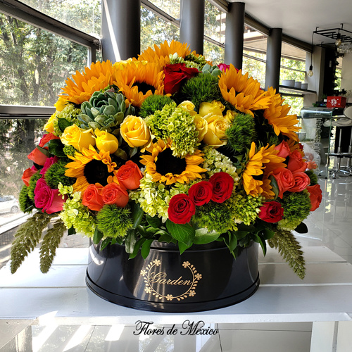 Flores De México