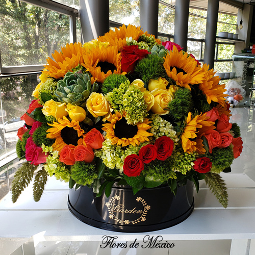 Flores De México