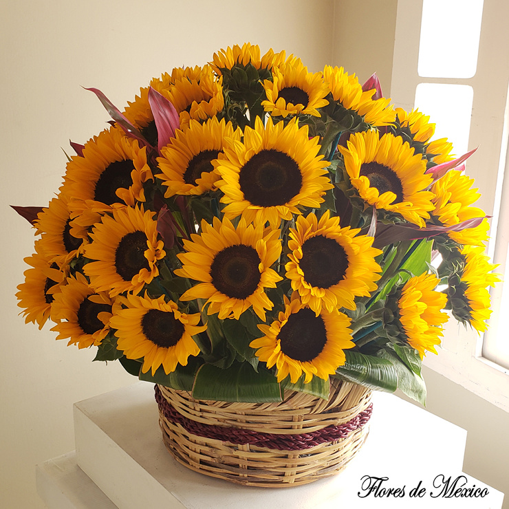 Girasoles En Canasta Blanca