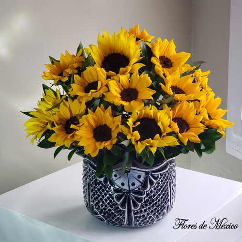 Girasoles Y Talavera